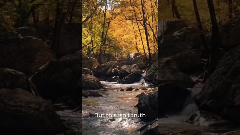 365 Days for Self Development Day 11 Τhe world is a reflection of my thoughts