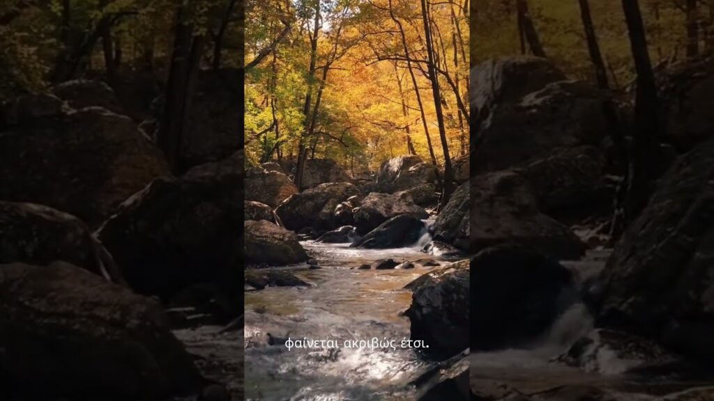 365 Ημέρες Αυτοβελτίωσης 11η Μέρα Ο κόσμος είναι μια αντανάκλαση των σκέψεών μου