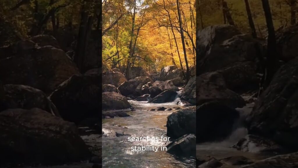 365 Days for Self Development - Day 12 - The peace within me brings light to my world