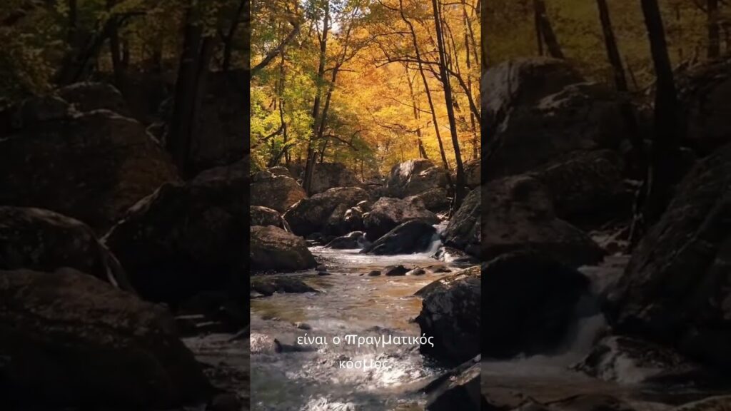 365 Ημέρες Αυτοβελτίωσης -14η Μέρα- Ο κόσμος είναι δημιουργημένος από αγάπη