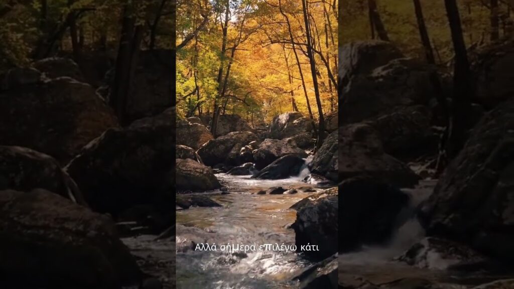 365 Ημέρες Αυτοβελτίωσης 13η Μέρα Ένας κόσμος δίχως νόημα γεννά φόβο