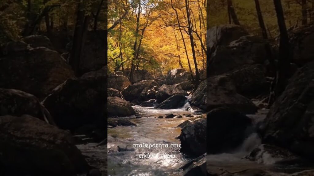 365 Ημέρες Αυτοβελτίωσης 12η Μέρα Ο κόσμος δεν έχει νόημα