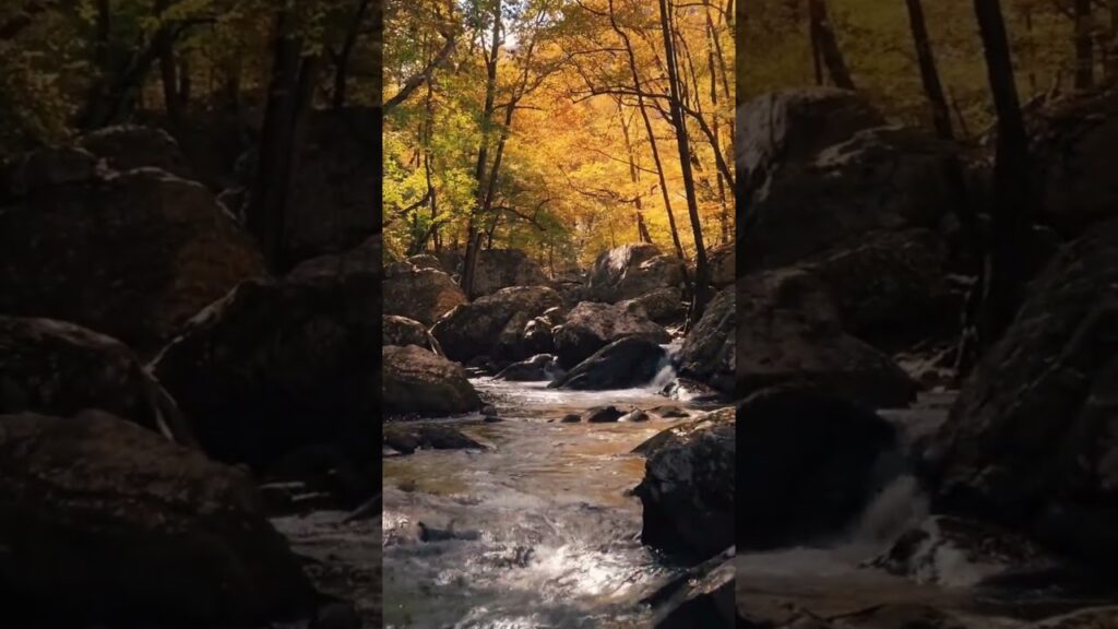 365 Days for Self Development Day 15 My thoughts are images I have made