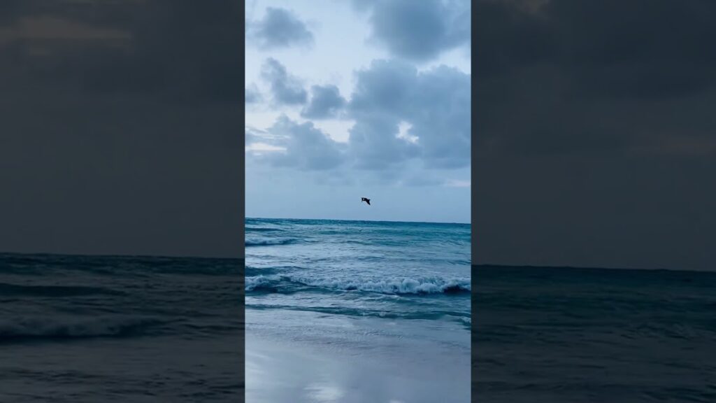 Stoic Path. Part 1 The Stoic law of 4 silences