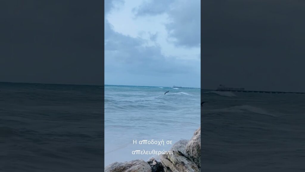 Στωικό Μονοπάτι 2ο Μέρος Η Αποδοχή ως Δύναμη