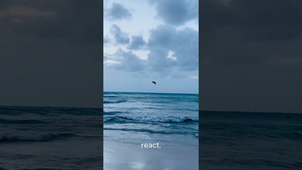 Stoic Path. Part 3 The Art of Not Taking Things Personally