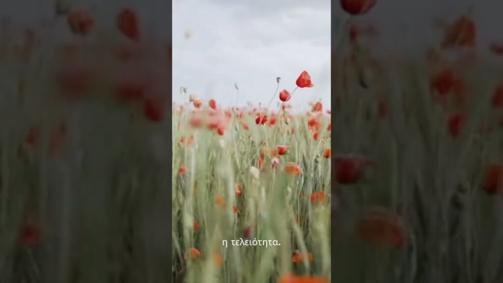 Τελειότητα και Ατέλεια - Ταξίδι από την Αρχαία Ελλάδα στη γαλήνη του Wabi Sabi.10-Νέος Τρόπος να Βλέπεις